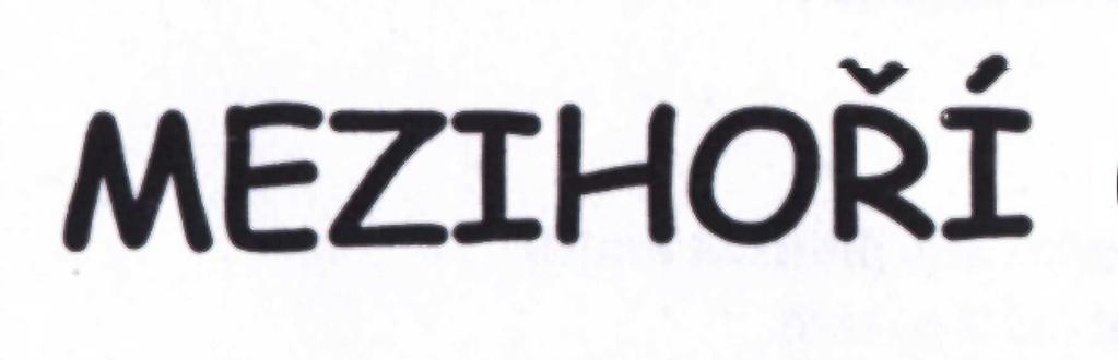 Blažek Michal (D.C. Mezihoří) II. - 1995 1. Blažek Michal (D.C. Mezihoří) 2.