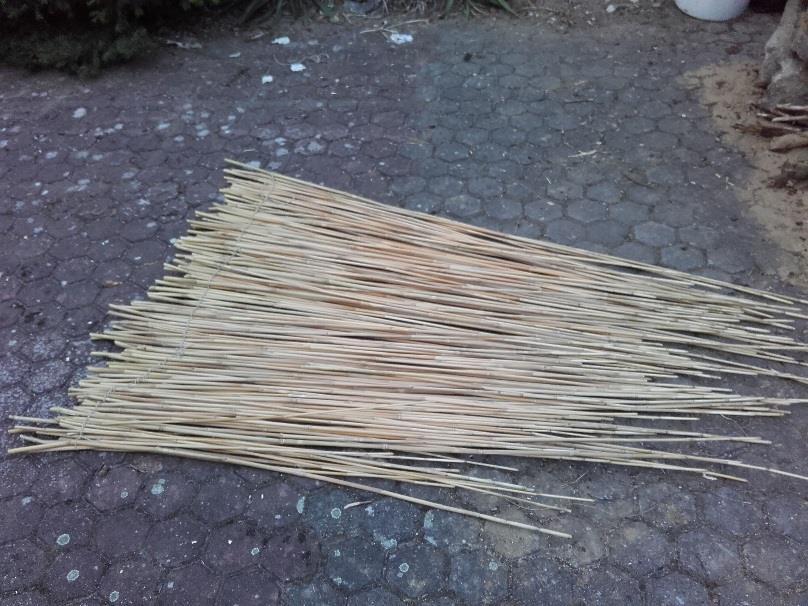 posbírali vhodné spadlé dřevo v lese a přenesli