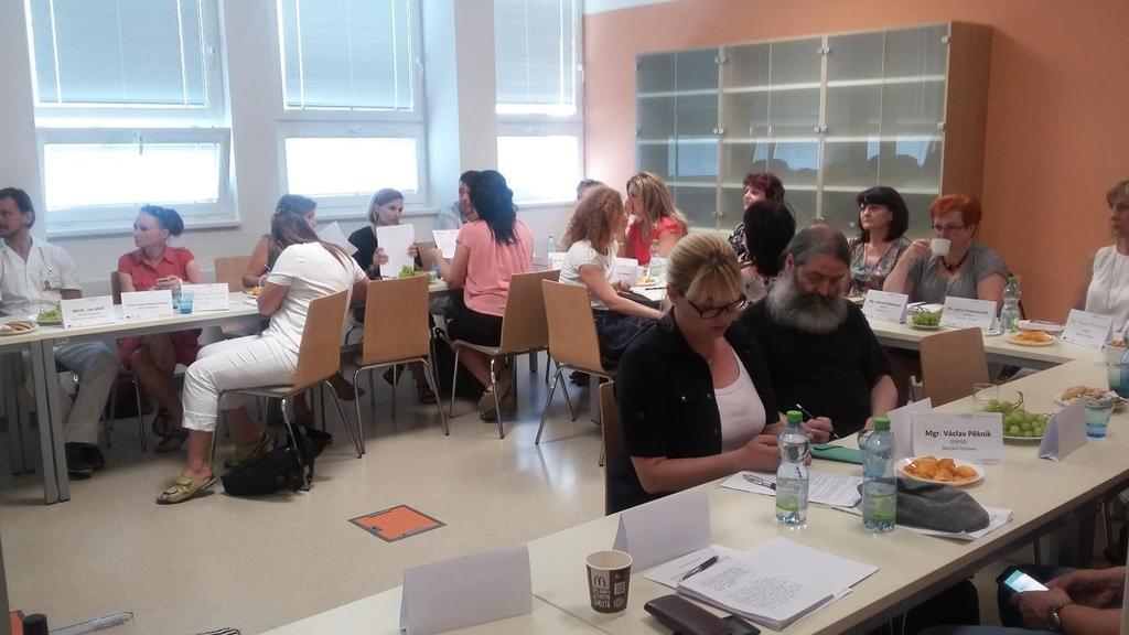 2. Setkání vedení týmu Pedagogicko-psychologické poradny (PPP) v Ostravě s týmem psychiatrického oddělení Fakultní nemocnice Ostrava (FNO) ze dne 30. 5.