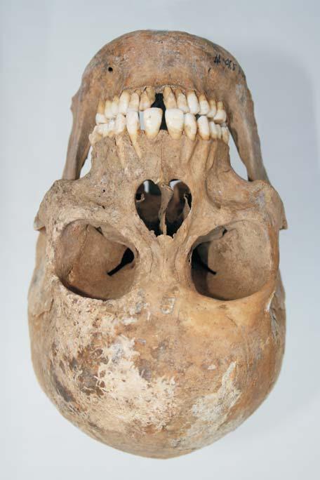 Obr. 17 1
