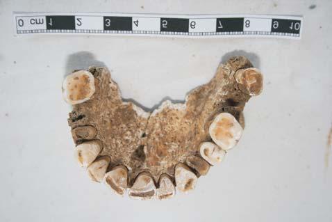 Obr. 22 1