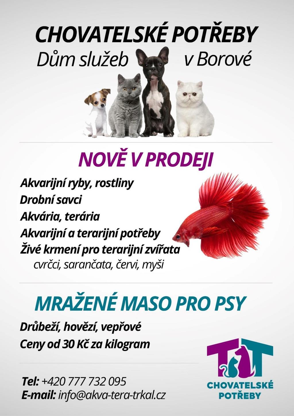INZERCE