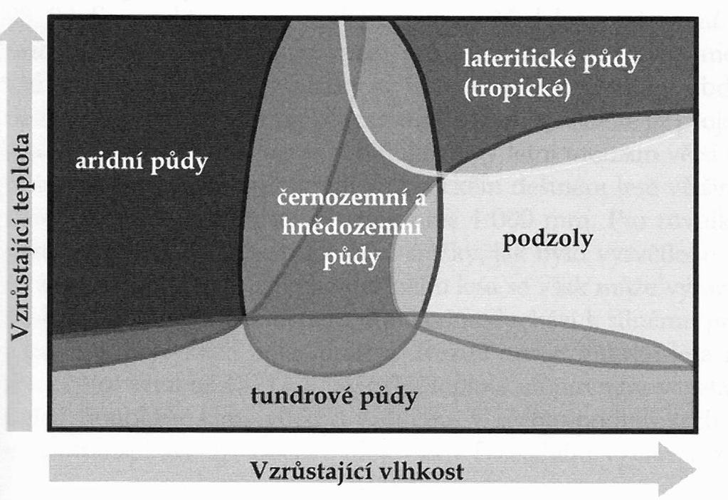 Vztah základních skupin půd k