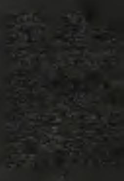 1. Hagios o Theos. 2. Sanctus Deus. 1. Hagios Ischyros. 2. Sanctus Fortis. 1. Hagios Athanatos, eléison hymas. 2. Sanctus Immortalis, miserere nobis. 1. a 2.