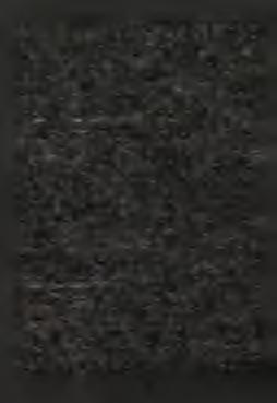 Benedixitque eis dicens: Crescite, et m ultiplicamini, et replete aquas maris: avesque multiplicentur super terram. Et factum est vespere et mane, dies quintus.