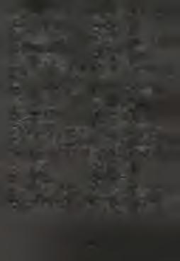 Sancte Stephane óra pro nobis. Sancte Laurenti Sancte Vincenti Omnes sancti M artyres o ra te... Sancte Silvester Sancte Gregori Sancte Augustine Omnes sancti Pontifices et Confessores oráte pro nobis.