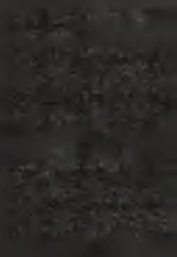gratia descendat, et quavis daemonum iniquitate vel illusione profligata, dextera tua protegat, quos redemit. Q ui vivis et regnas... Modleme se.