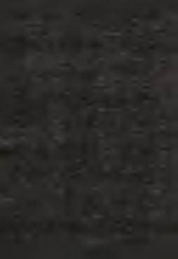 At illi tenentes le sům, duxerunt ad Caipham, principem sacerdotum, ubi scribae et seniores convenerant. Petrus autem sequebatur eum a longe, usque in atrium principis sacerdotum.