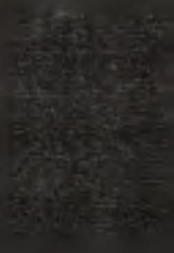Tunc princeps sacerdotum scidit vestimenta sua dicens: Blasphema vit: quid adhuc egemus testibus? Ecce, nunc audistis blasphemiam: quid vobis videtur? At illi respondentes dixerunt: Reus est mortis.