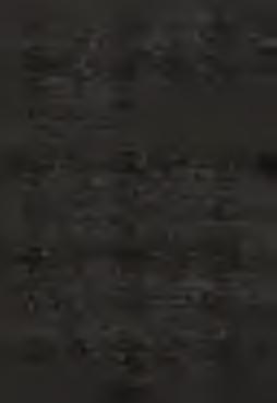 Antifona k obětování. (Z. 68, 21-22).
