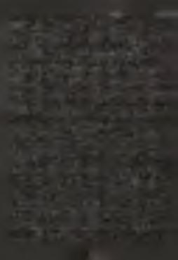 Iesus autem dicebat: Pater, dimitte illis: non enim sciunt, quid faciunt. Dividentes véro vestimenta eius, m iserunt sortes.