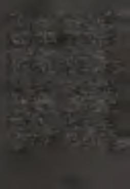 Verbum cáro, panem verum verbo carnem efficit; fitque sanguis Christi merum; et si sensus deficit, ad firmandum cor sincerum sola fides sufficit.