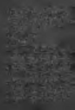 aqua, sed tantum assum igni: caput cum pedibus eius et intestinis vorabitis. Nec rem anebit quidquam ex eo usque mane. Si quid residuum fuerit, igne comburetis.