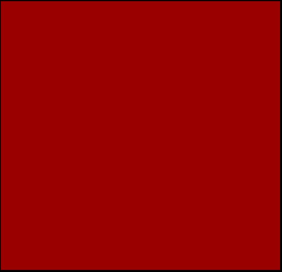 Zjednodušený princip RFLP