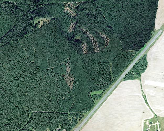 Zdroj: Správa