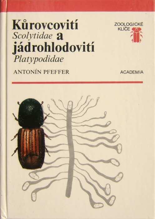 Literatura NUNBERG, M. 1981: Klucze do oznaczania owadów Polski. Część 19 Chraząszcze Coleoptera99-100: Korniky Scolytidae, Wyrinniki Platypodidae. Państwowe wydawnictwo naukowe, Warszawa, 106 pp.