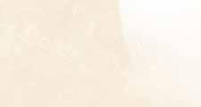 60 30 10,5 mm 1,44 46,08 750