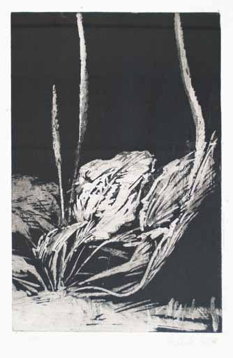 Ladislav Čepelák (1924 2000) Jitrocel akvatinta, 1976, 40,5 x 24 cm, sign. PD Čepelák 1976, rám, č.