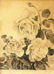 Eva Šlachtová (1929 2013) Zvědavost lept, 41,5 x 57 cm, sign. PD Eva Šlachtová, č. 1/1 3 800 Kč ( 152) 407.