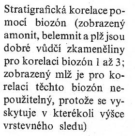 Zóna (biozóna) Základní stratigrafická jednotka Zpravidla je