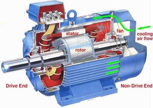 ázorný řez 3f AM v patkovém provedení statorová svorkovnice motorový přívod elektrické energie příkon P 1 výkonový štítek ventilátor kryt ventilátoru