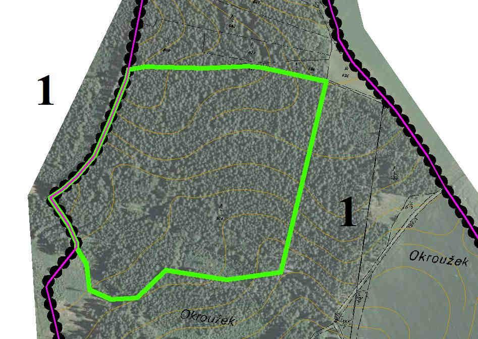 Číslo 1 (generelové číslo = 1) Název Okroužek Charakter Lokální biocentrum Mapa 1 STG 3AB-B3, 3-4B-BC3-4 Rozloha 12,56 ha Charakteristika Biocentrum výhradně zahrnující lesní porost: Příslušnými