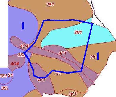 bučina borůvková na plošinách a mírných svazích), 3K1 (Kyselá dubová bučina metlicová na plošinách a plochých vyvýšeninách), 3S2 (Svěží dubová bučina se svízelem drsným na hřbetech a horních částech