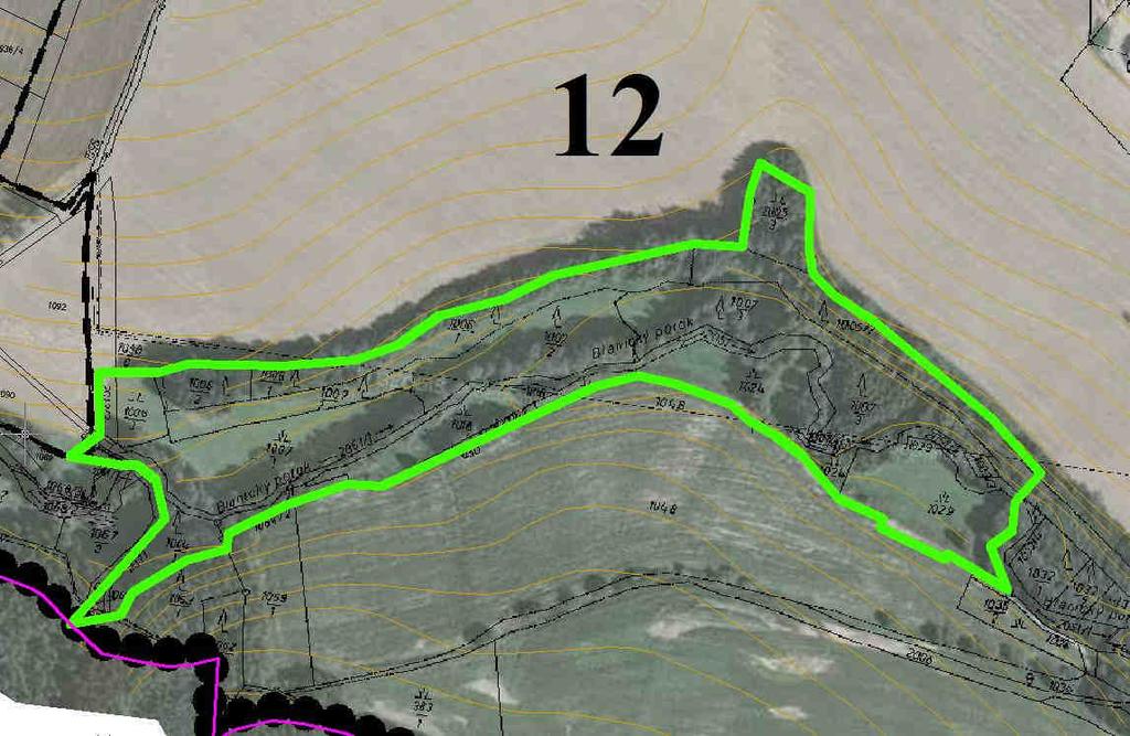 Číslo 12 (generelové číslo = 71) Název Blanický potok Charakter Lokální biokoridor Mapa 12 STG 3AB3-4, 4B4 Rozloha 5,45 ha Charakteristika Biokoridor podél Blanického potoka lemovaného autochtonními