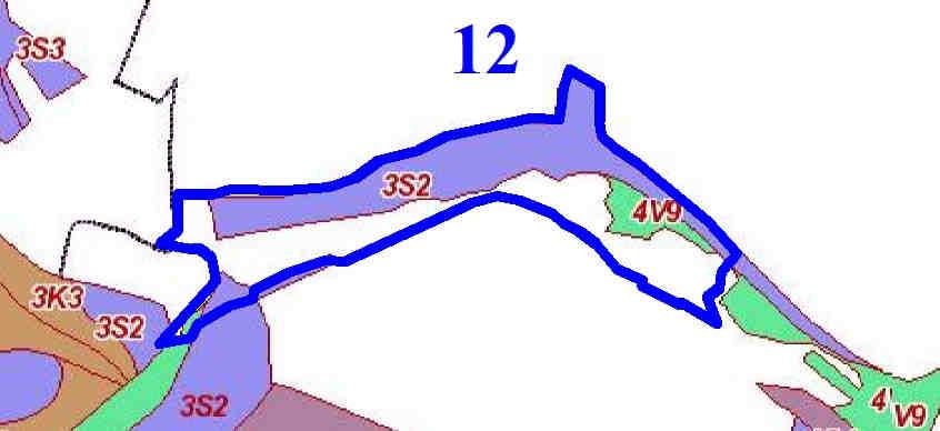 Příslušnými lesními typy jsou 3S2 (Svěží dubová bučina se svízelem drsným na hřbetech a horních částech svahů), 4O1 (Svěží dubová jedlina šťavelová na plošinách a plochých úžlabinách), 4V9 (Podmáčená