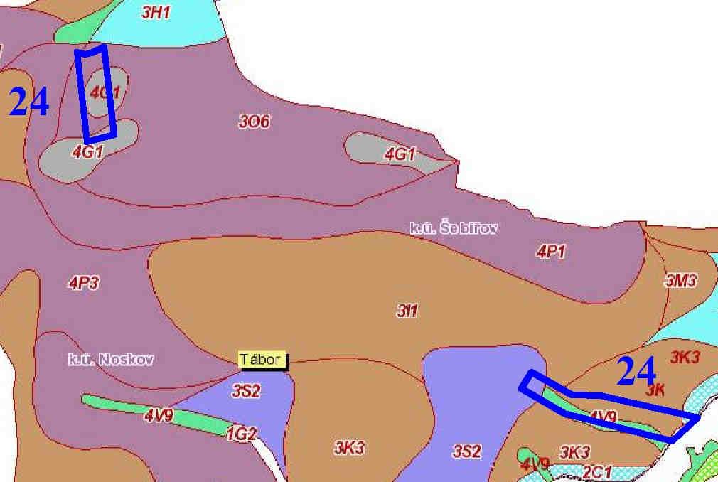 Příslušnými lesními typy jsou 3K3 (Kyselá dubová bučina biková na mírných svazích), 3O6 (Svěží jedlová doubrava šťavelová na