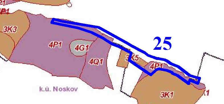 Příslušnými lesními typy jsou 3K1 (Kyselá dubová bučina metlicová na plošinách a plochých vyvýšeninách), 3K5 (Kyselá dubová bučina borůvková na hřbetech a horních částech svahů), 4P1 (Kyselá dubová