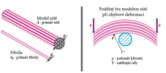 Porovnání korektnosti modelů Jak již bylo výše uvedeno, liší se oba uvedené modely především v respektování ohybové tuhosti. Představme si model nitě tvořené elementárními fibrilami malého průměru.
