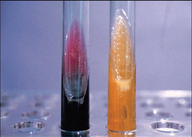 The tube on the left has a yellow butt (acid), red slant (alkaline), H2S production as indicated by blackening of the agar, and no gas roduction.