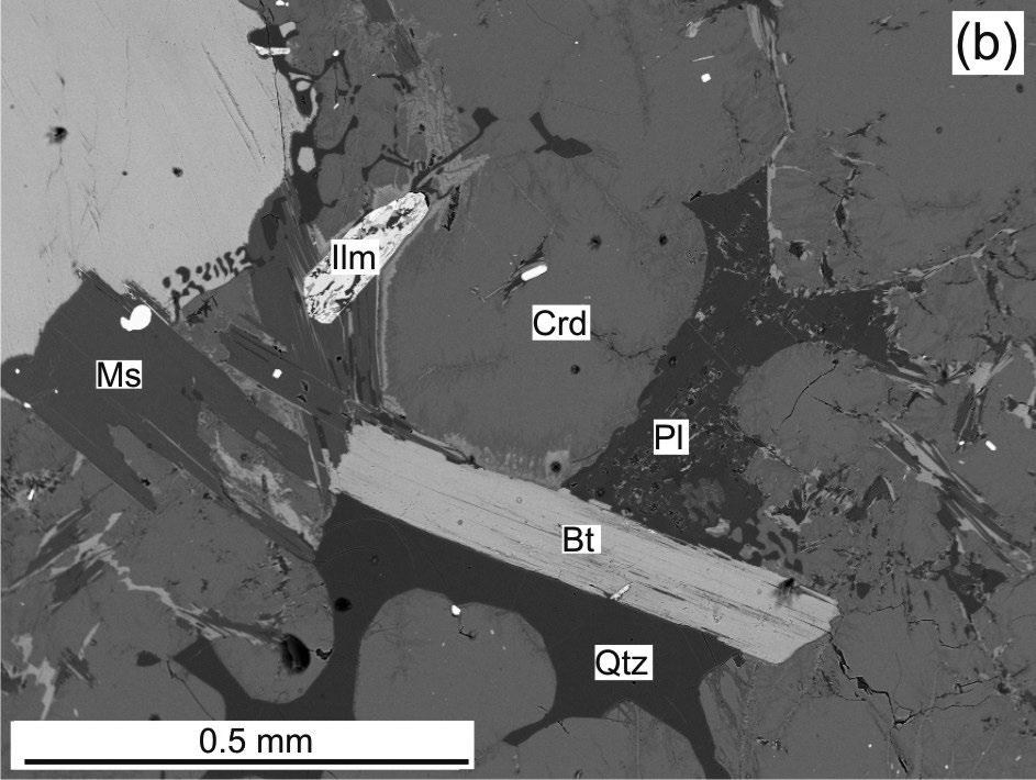 obrůstána mladším magnesiohornblendem až aktinolitem (Si 6.04-7.50 apfu; Mg/(Mg+Fe) 0.50-0.82). Plagioklasy (18-31 mod.