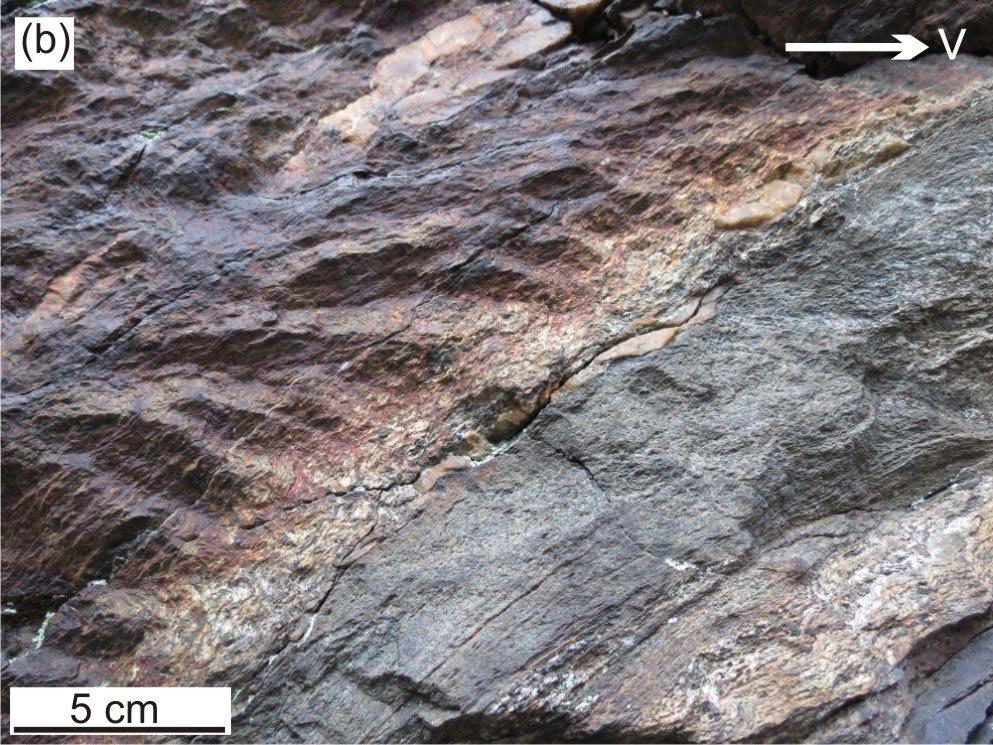 krystalinika (kompoziční páskování); (c) metamorfní lineace charakteru protažení agregátů slíd a živců na foliační ploše S 2 ; (d) plochy osní kliváže S 3 spojené s vznikem kontaktní a strukturní