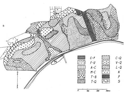 1. Vegetace chráněného území Staňkovka: C-F Carici-Fraxinetum, F-U Ficario-Ulmetum, A-C Acero-Carpinetum, M-C Melampyro-Carpi-netum, T- B Tilio-Betuletum, T-Q Torilido-Quercetum, C-Q