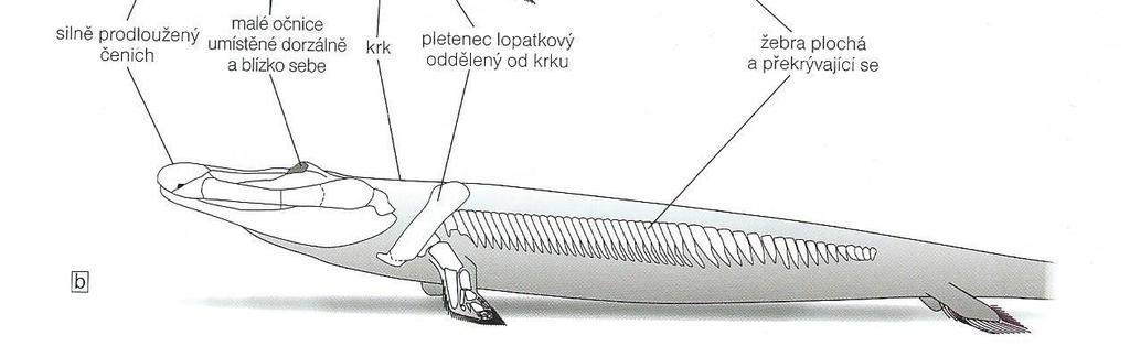 IX.