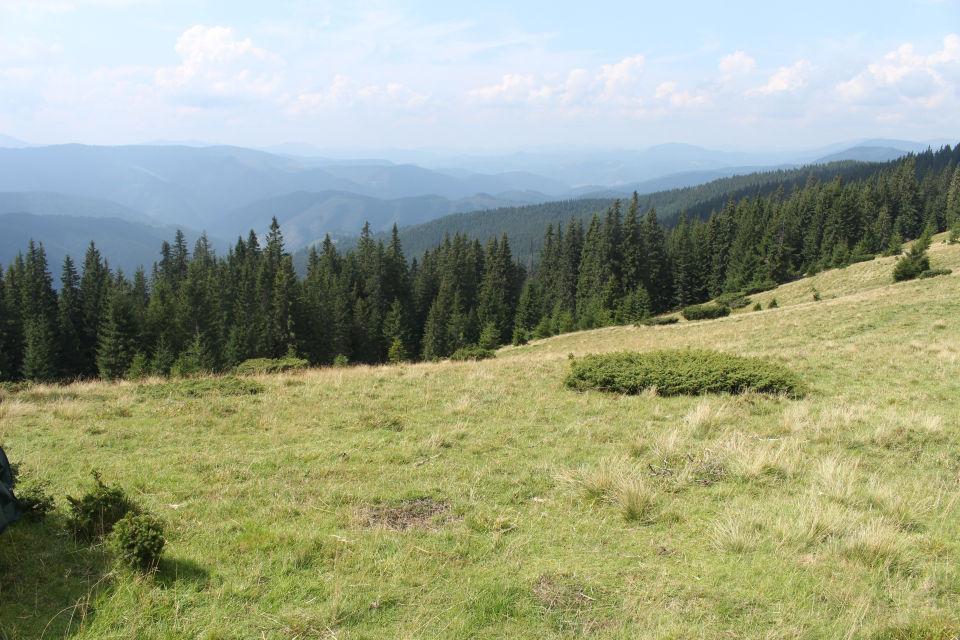 na své těstoviny použil, místo něj tam nechal svou omáčku. Následně jsme využili stolu, zahráli si Bang a povídali si.