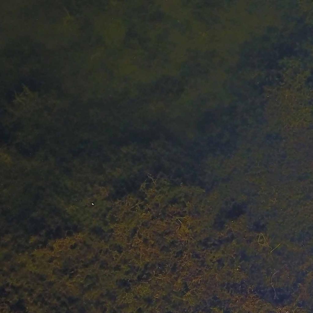 ČLUNY VYRÁBÍME Z KAUČUKU JE EKOLOGICKÝ A SNADNO