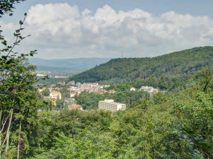 ÚP města Karlovy Vary návrh 2016 Posouzení významnosti vlivu koncepce na lokality soustavy Natura 2000 podle
