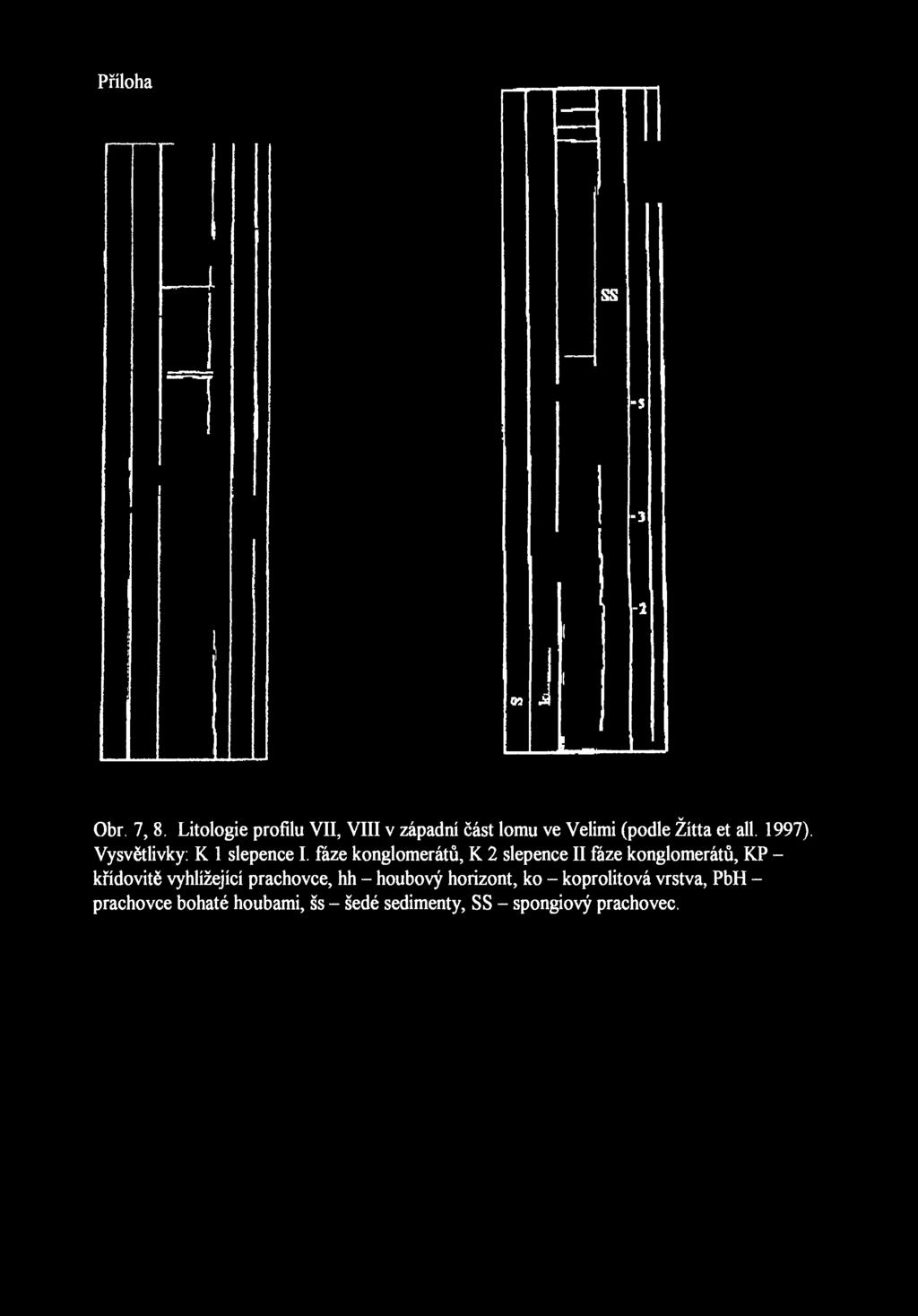Přílohaněkterýchdůležitýchadresučitelegeologickýchvěd. SS -S -3-1 09 Obr. 7, 8. Litologie profilu VII, VIII v západní část lomu ve Velimi (podle Žítta et all. 1997). Vysvětlivky: K 1 slepence I.