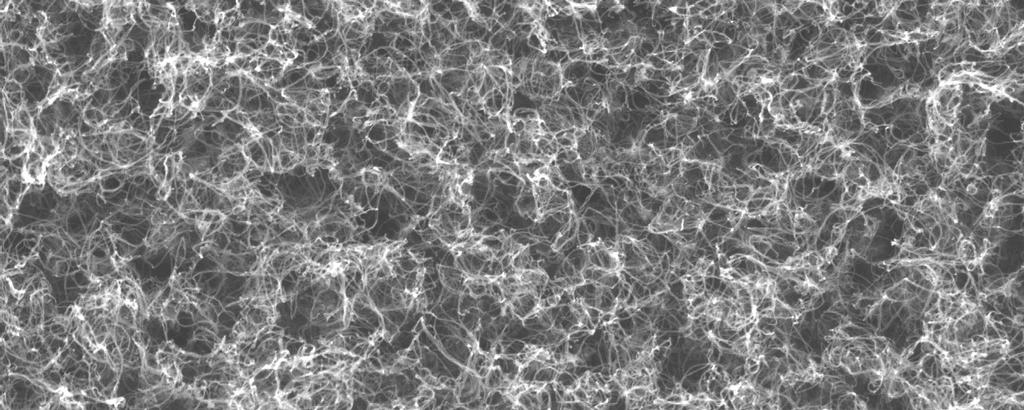 Obr. 4.5 Analýza povrchu pole nanotrubic na SEM Na obr. 4.5 je zobrazena analýza povrchu pole nanotrubic na skenovacím elektronovém mikroskopu.