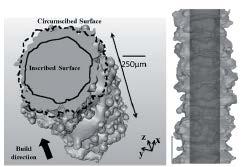 Shrnutí současného stavu poznání Rozměrová stálost Impact of EBM Fabrication Strategies on Geometry and Mechanical Properties of Titanium Cellular Structures [15],