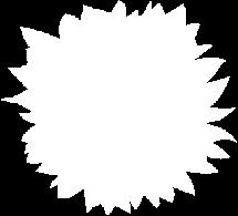 Domovský