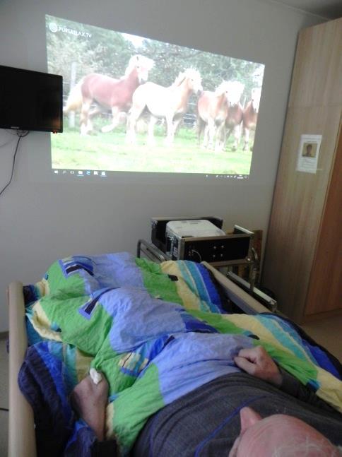 repertoár promítaných videí.