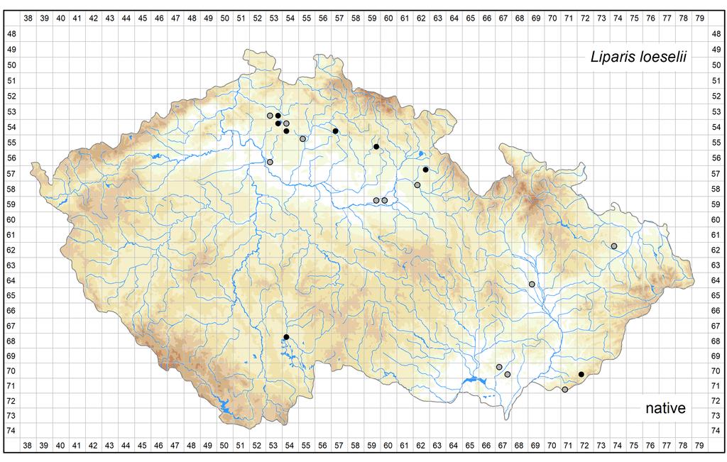 Distribution of Liparis loeselii in the Czech Republic Author of the map: Zdeněk Kaplan Map produced on: 16-06-2018 Database records used for producing the distribution map of Liparis loeselii