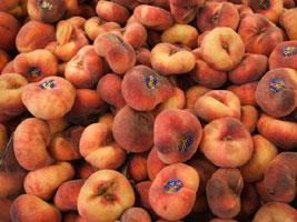 Pomological Classification of PEACH TRESS Freestone peaches: Peach fuss, flesh does not stick to the stone Clingstone peach: Peach fuss, flesh sticks