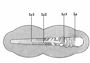 15 / 54 Hodnocení vlivu úpravy povrchu substrátu tu na adhezi tenké vrstvy Hlavním cílem experimentu bylo postihnout vliv úprav povrchu substrátu na následnou adhezi tenké vrstvy.