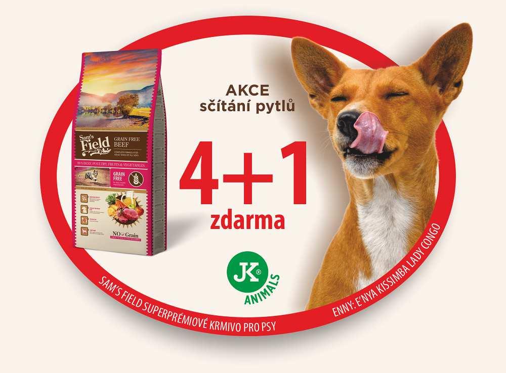 fena - veterán 1. Carevna Anastázie z Rodu Romanovců MSP 9 ½ roku 2. Delinka z Rodu Romanovců MSP 8 ¾ roku pes - veterán 1.
