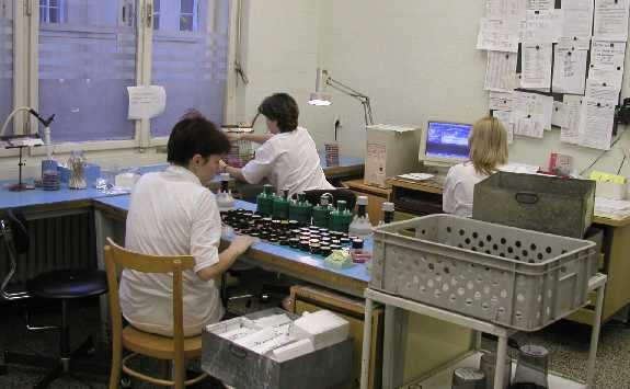 Laboratoř klinické bakteriologie Laborant 2 dělá opáčka ka : : u pozitivních vzorků připravuje testy citlivosti a testy bližší